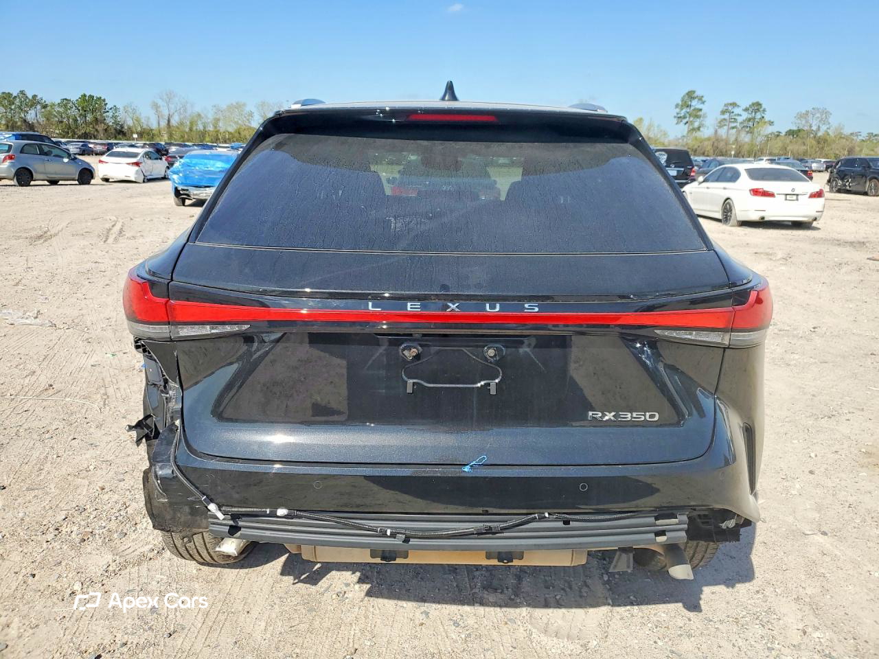 Lexus RX 2024