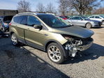 Ford Escape 2013
