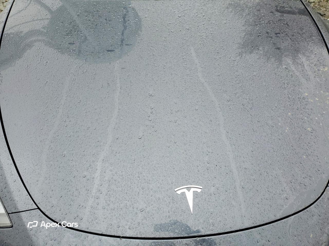 Tesla Model Y 2025