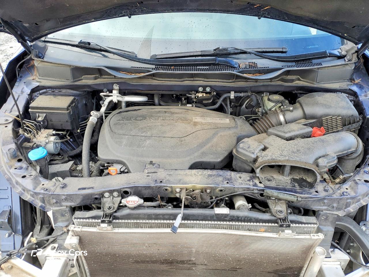 Honda Odyssey 2019