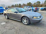 Ford Mustang 2004