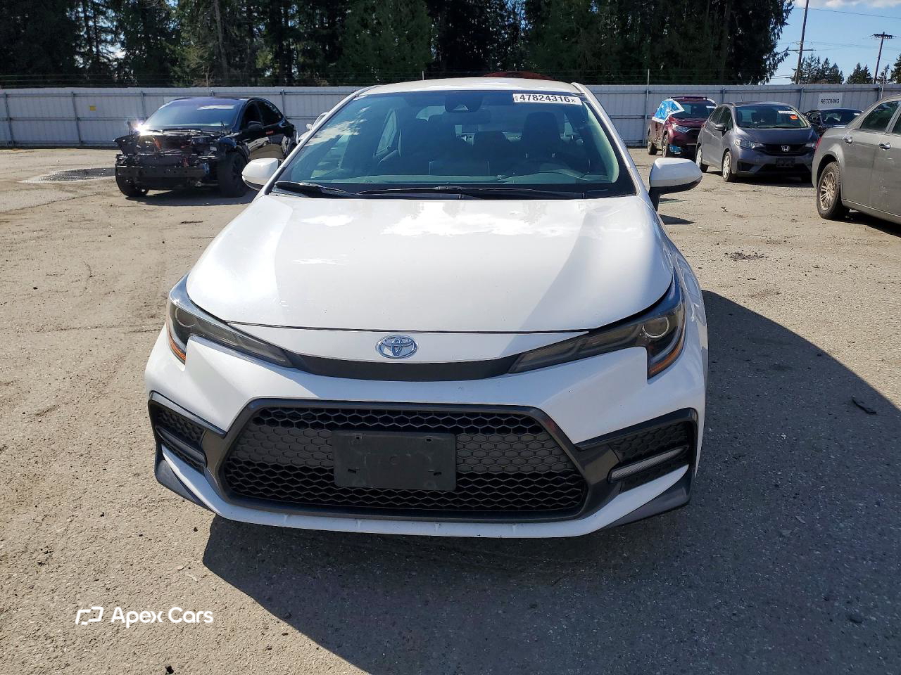 Toyota Corolla 2021