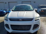 Ford Escape 2013