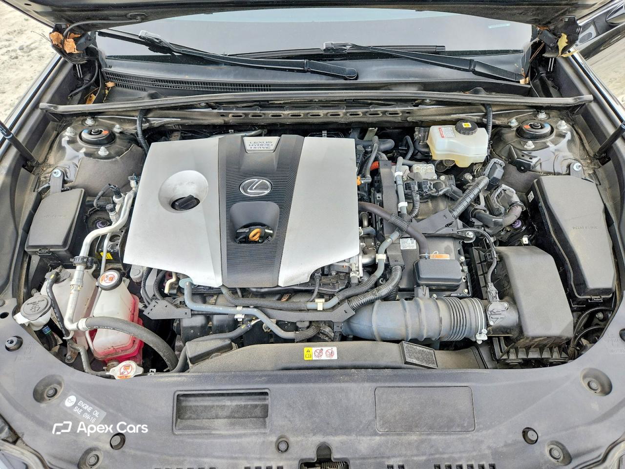 Lexus ES 2021