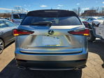 Lexus NX 2020