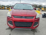 Ford Escape 2013
