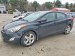 Ford Polara 2013