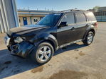 Ford Escape 2011