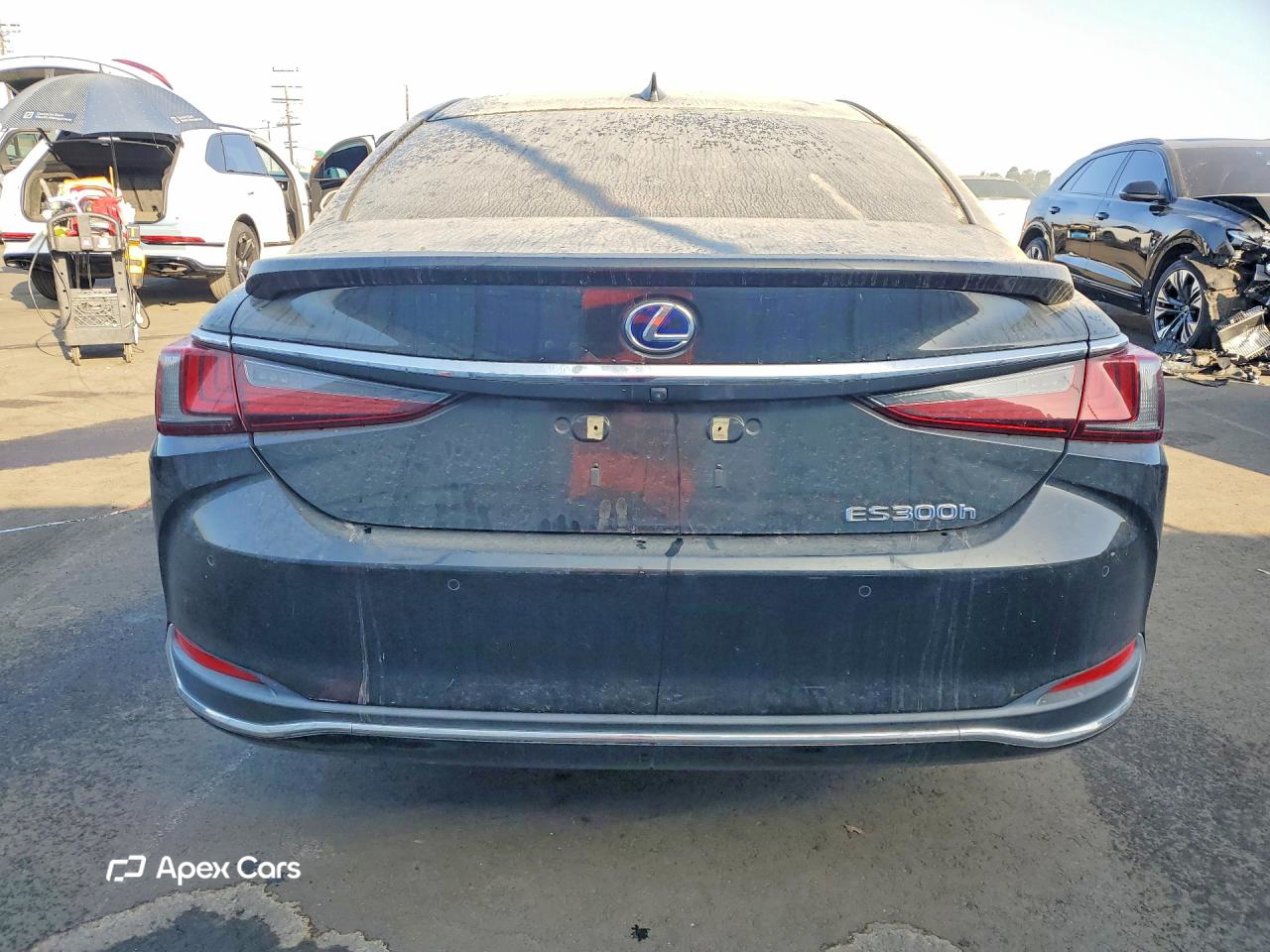 Lexus ES 2020