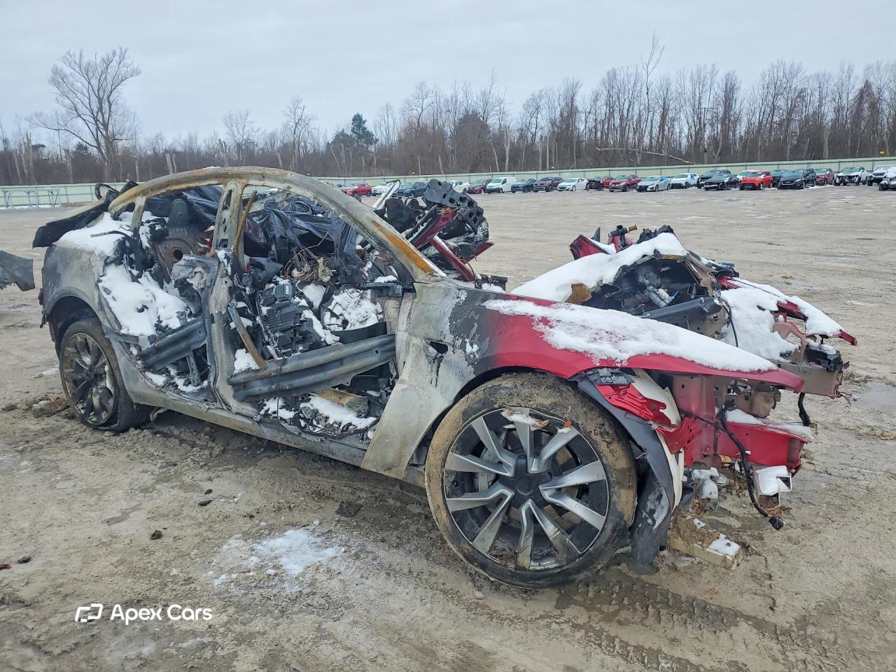 Tesla Model 3 2024