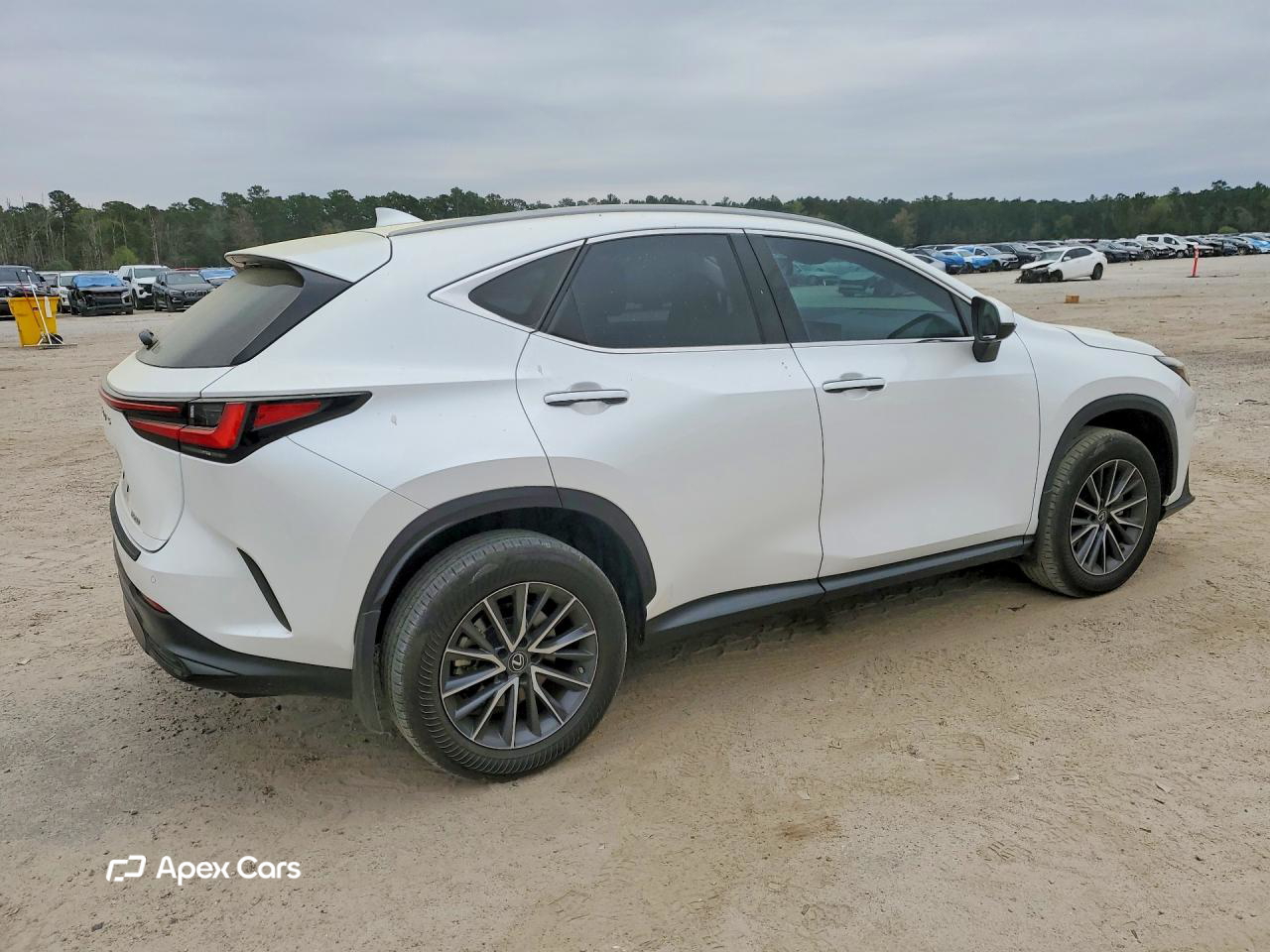 Lexus NX 2023