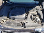 Nissan Maxima 2013