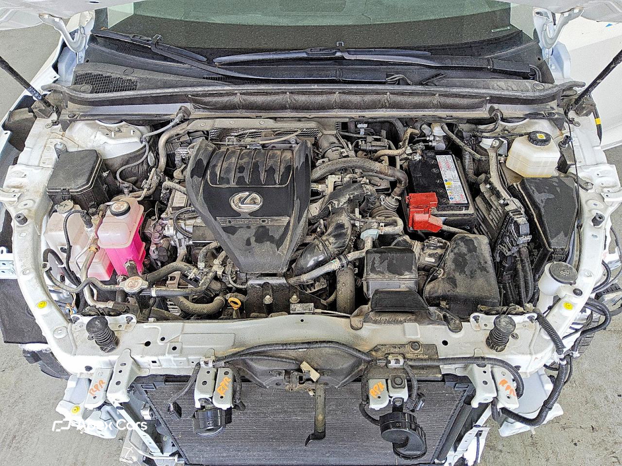 Lexus RX 2024