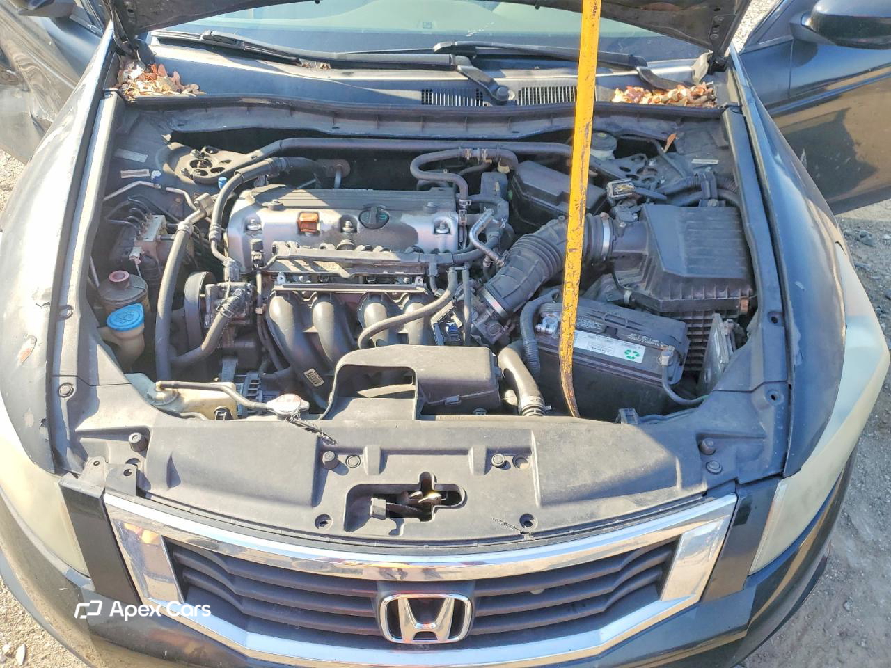 Honda Accord 2010