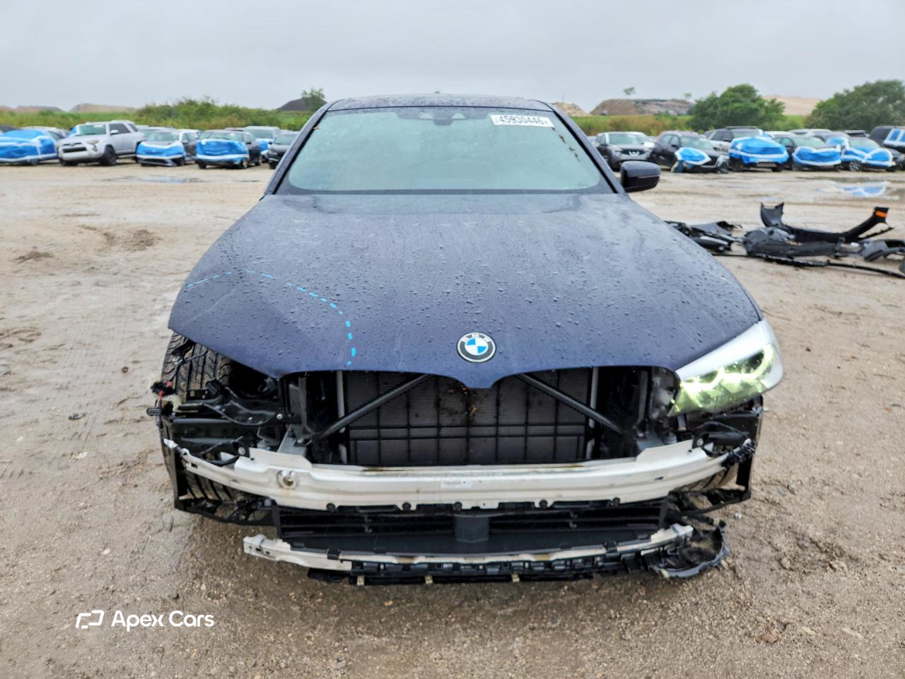 BMW Series 5 2019