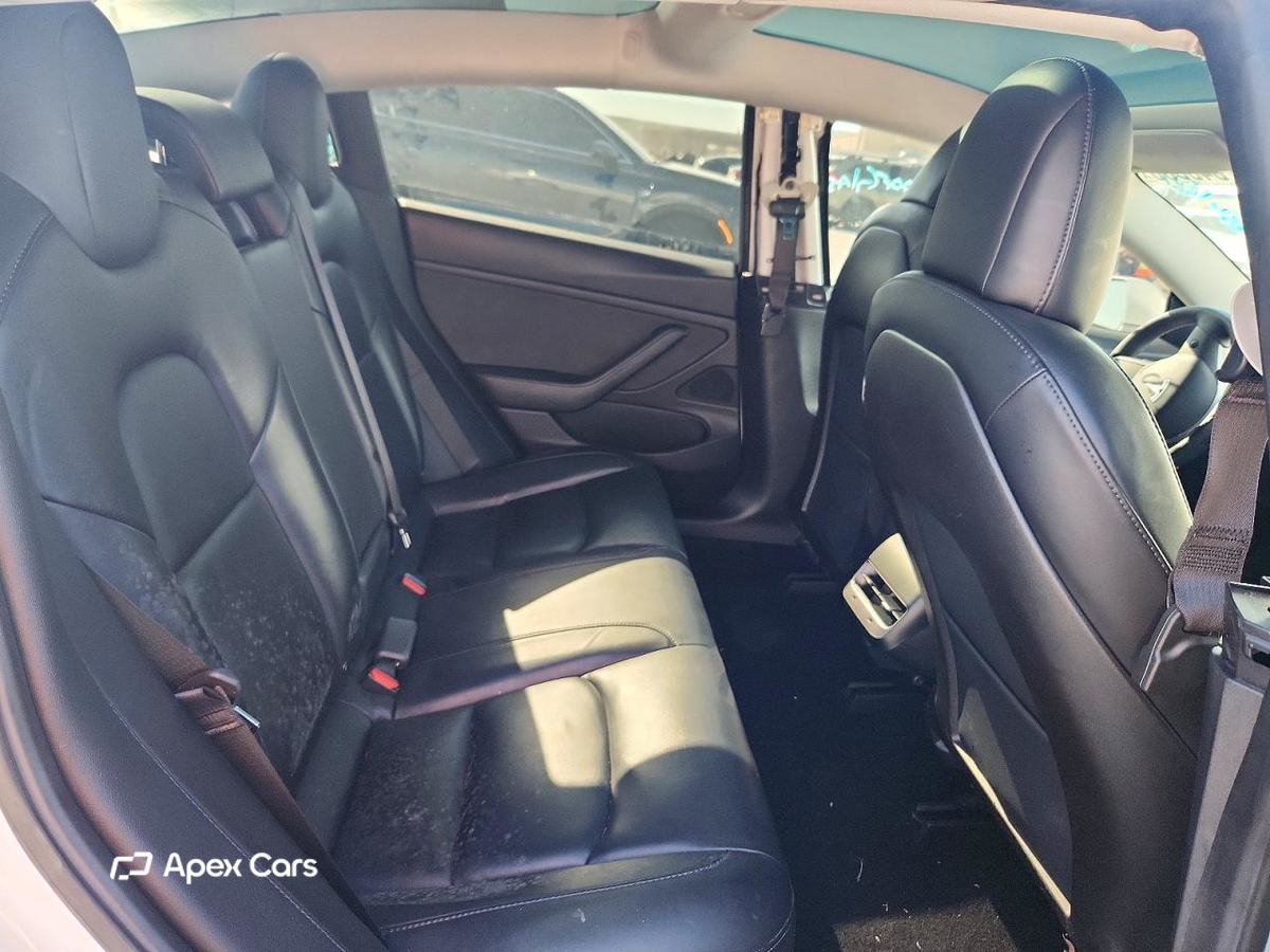 Tesla Model 3 2019