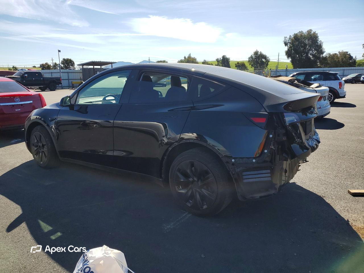 Tesla Model Y 2021