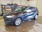Ford Escape 2025