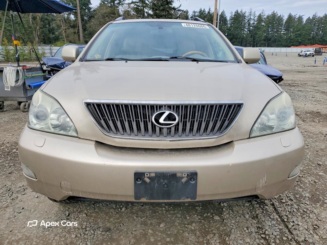 Lexus RX 2004