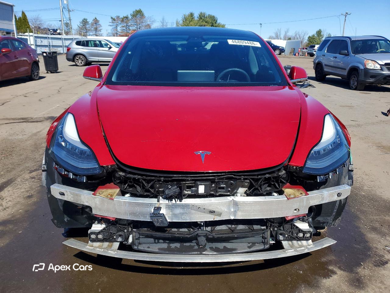 Tesla Model 3 2019