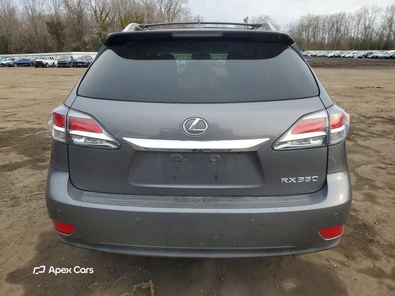 Lexus RX 2013