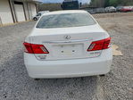 Lexus ES 2007