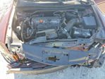 Honda Accord 2010