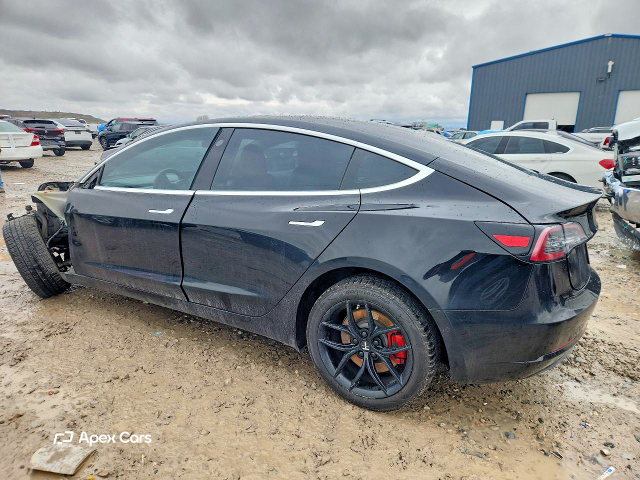 Tesla Model 3 2020