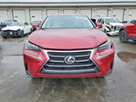 Lexus NX 2015