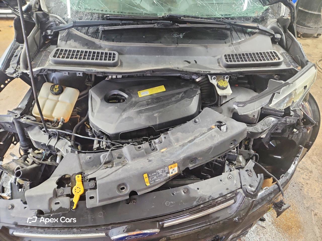 Ford Escape 2013