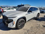 BMW XM 2023