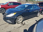 Hyundai Sonata 2013
