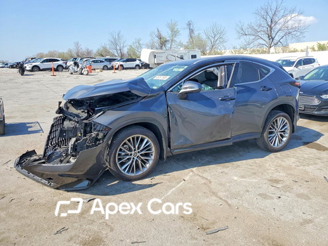 Lexus NX 2025 - Zdjęcie 1 z 13