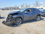 Lexus NX 2025
