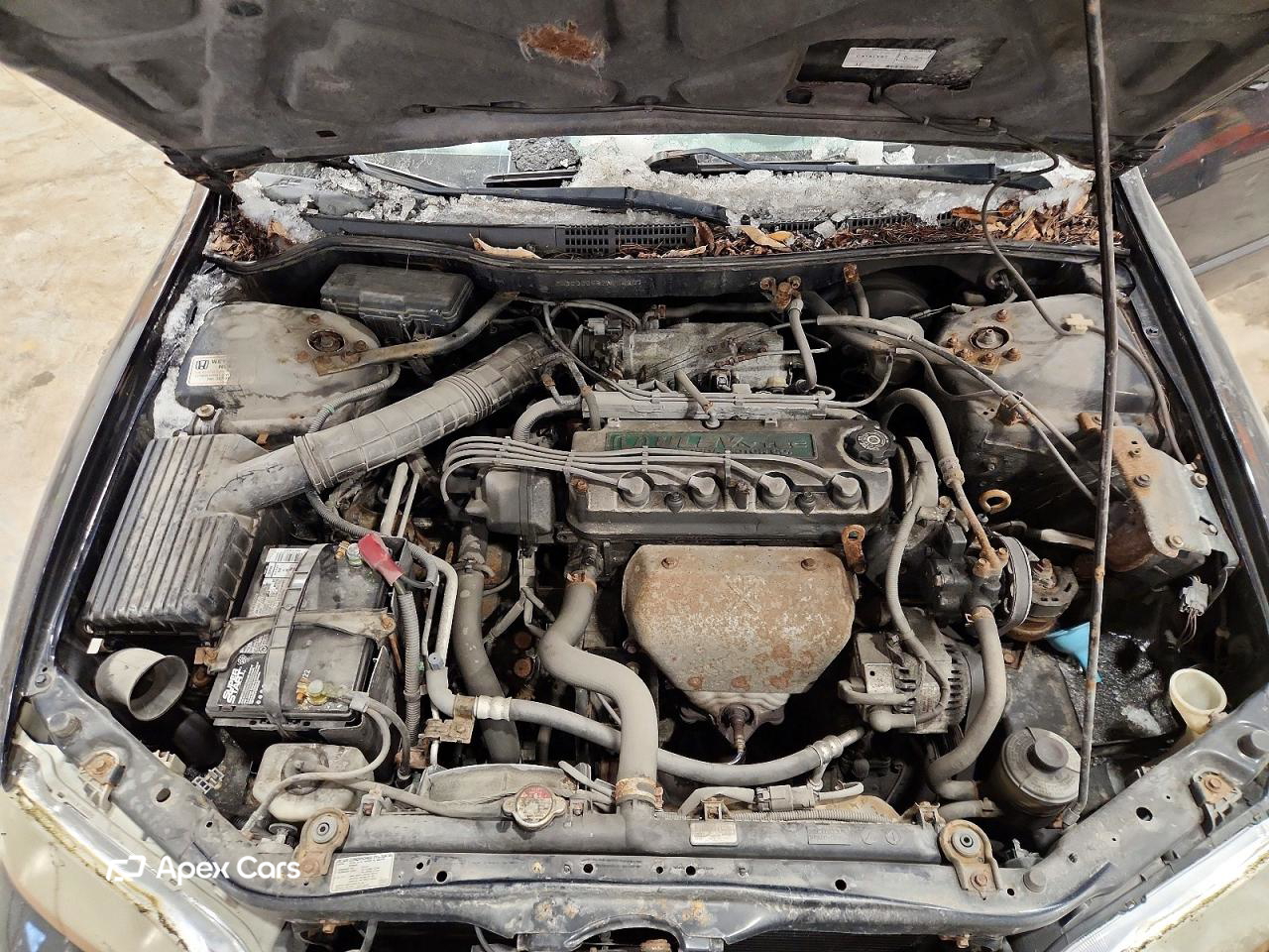 Honda Accord 2000