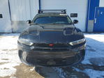 Dodge Hornet 2024