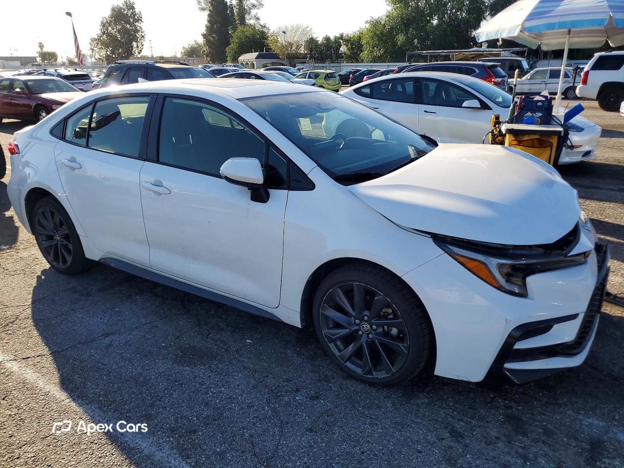 Toyota Corolla 2024