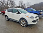 Ford Escape 2015