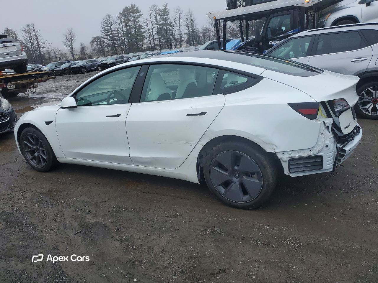 Tesla Model 3 2023