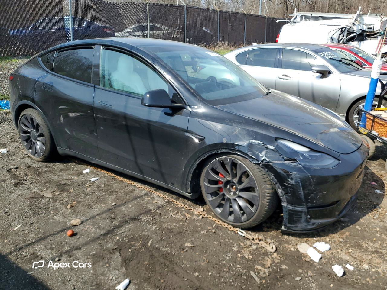 Tesla Model Y 2021