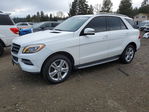 Mercedes-Benz  2014