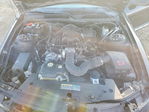 Ford Mustang 2009