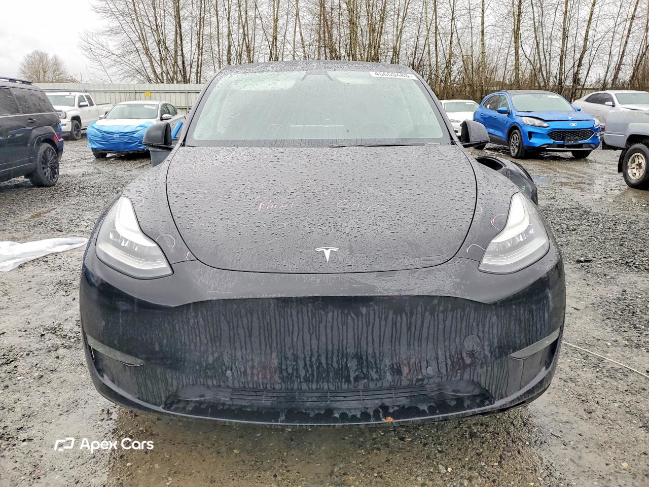 Tesla Model Y 2020