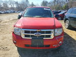 Ford Escape 2009