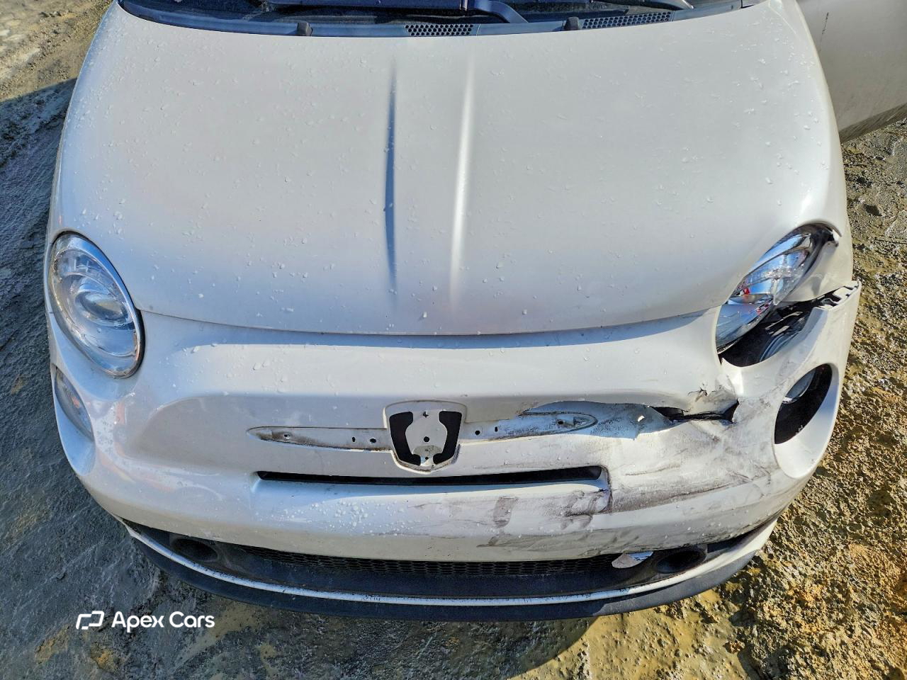 Fiat 500 2019