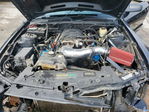 Ford Mustang 2007