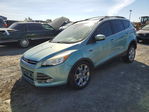 Ford Escape 2013
