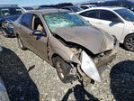 Ford Focus 2000