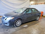 Toyota Corolla 2009