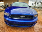 Ford Mustang 2013